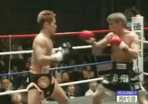 Thai Boxing Knockout GIF - ThaiBoxing Knockout - Discover & Share GIFs