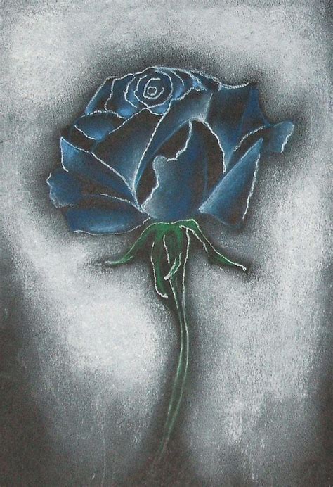 Blue Rose Drawing at PaintingValley.com | Explore collection of Blue Rose Drawing