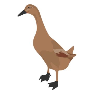 Bebek Pecel Lele Gambar PNG | File Vektor Dan PSD | Unduh Gratis Di Pngtree