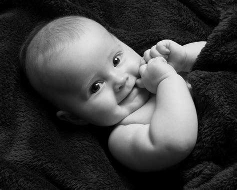 Why the mark adams strategy is working better than expected 26