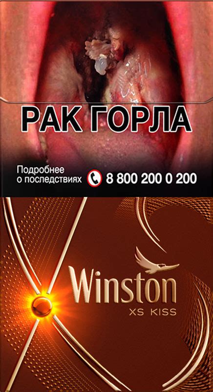 Сигареты Винстон кис шоколадный (Winston xs kiss mirage) - купить оптом ...