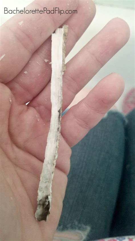 how to get rid of mildew in shower 6