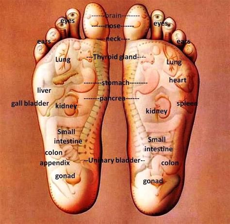 The Many Benefits Of Reflexology Foot Massage | Heidi Salon