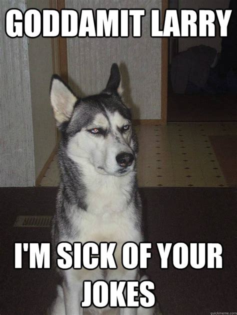 goddamit larry i'm sick of your jokes - Annoyed Husky - quickmeme