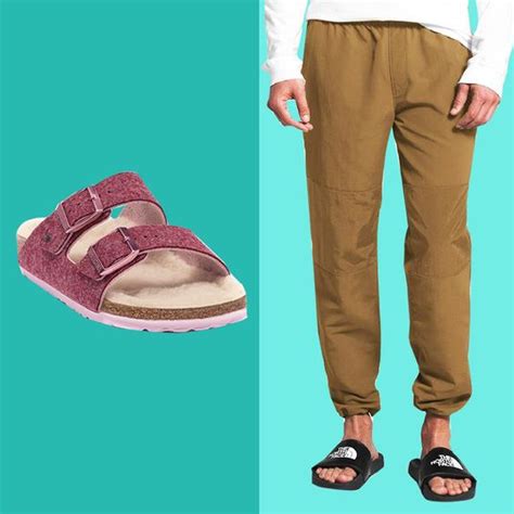 petcords dog  cat cord protector review   strategist