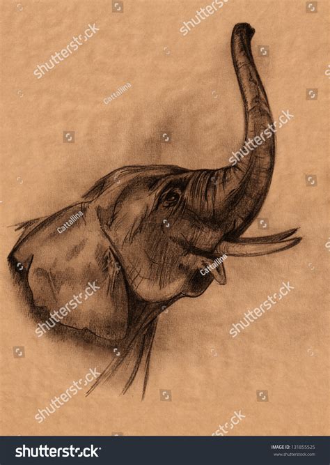 Elephant Face Pencil Drawing