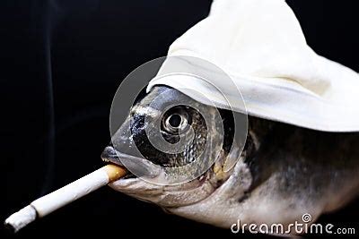 smoking fish stock image image