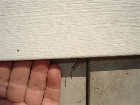 How to Keep Mice Out of Your House or Camper - Dengarden