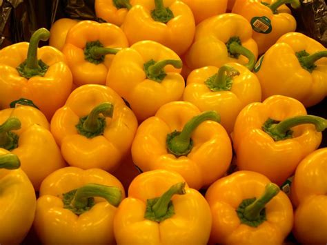 Capsicum Yellow - The Benefits - auscrops.com.au