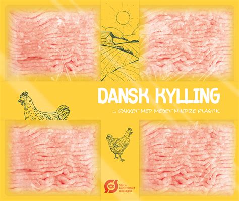 design project idea   packaging  meat  solveig dyrdal