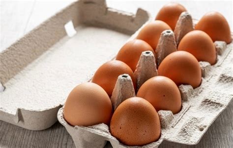 Продам яица своих кур 100) | ПРОДАМ-КУПЛЮ... (ВЕЛЬСК-РАЙОН-ОБЛАСТЬ ...