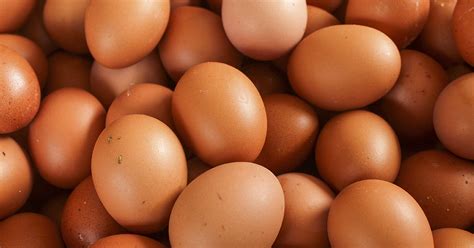 how to know if an egg has salmonella