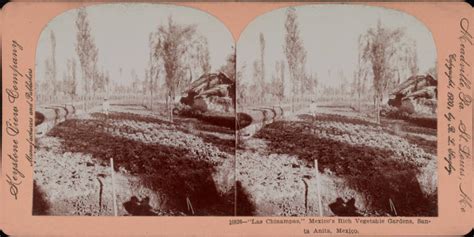 The History Of Chinampas, The ‘Floating Gardens’ Of Mexico