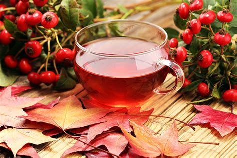 Rosehip Tea: Benefits, Side Effects, and Recipe | Chinese Teas 101