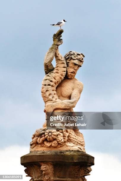 419 Triton Greek God Stock Photos, High-Res Pictures, and Images ...
