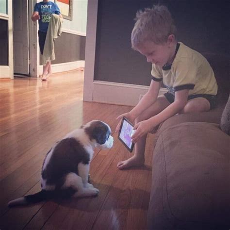 Hilarious Photos of Kids with Pets