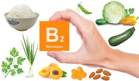 Вітамін В2 в продуктах, користь і застосування — BLOGINI