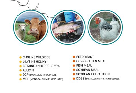 Fda Animal Food Additives at Franklin Rodriguez blog