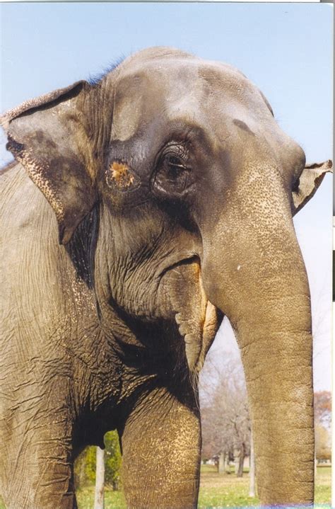Buttonwood Park Zoo