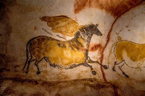 Nouvelle Aquitaine, natura, storia, cultura e gastronomia in Francia