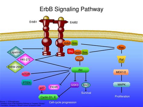 knowledge  power updates  oncology powerpoint