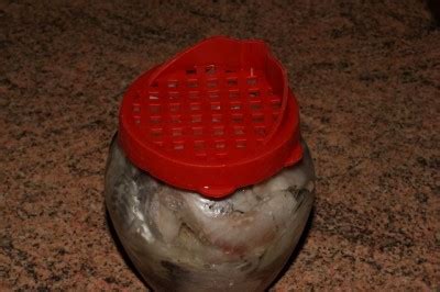 Сельдь маринованная «По-домашнему» : Рыбные блюда