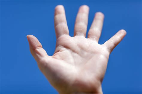 Open Hand Stock Photo - Download Image Now - 2015, Adult, Blue - iStock