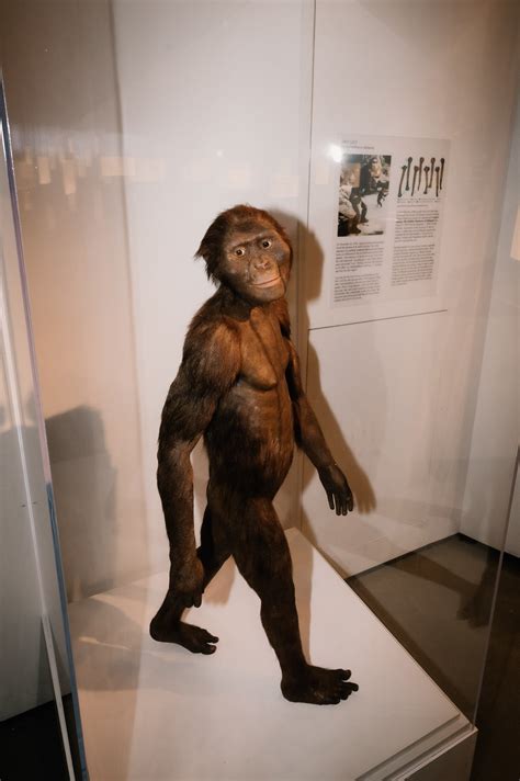 Houston Museum of Natural Science Wedding — ROMANTIC, ELEGANT, AND