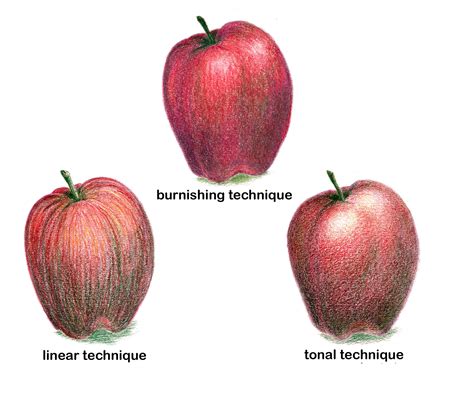 The Encyclopedia Of Coloured Pencil Techniques 8