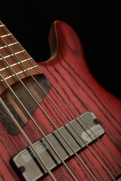 Cort B5 Element 5 string Bass Guitar