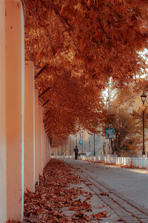 anime lockscreen modern top 2