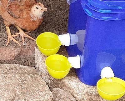 Badu.bg Хранилка с питейна вода за пиленца Патица Гъска Пуйка Пъдпъдък ...