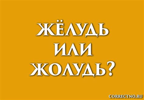 Жёлудь или жолудь: как правильно пишется слово?
