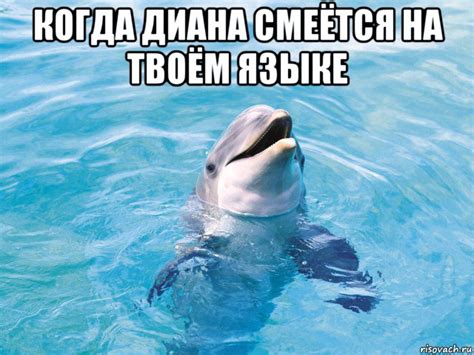 когда диана смеётся на твоём языке , Мем Дельфин - Рисовач .Ру