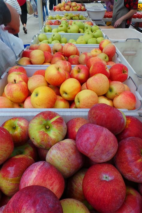 Watch: Rejuvenating Old Apple Trees – Wisconsin Horticulture