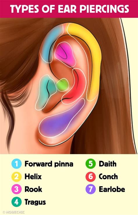 TYPES OF EAR PIERCINGS in 2024 | Types of ear piercings, Piercings ...