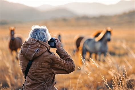 How To Become a Wildlife Photographer in the UK | Studyhub