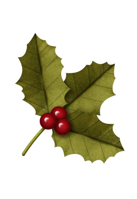 Moldes de Folhas de Natal para Decoração - Dicas Práticas