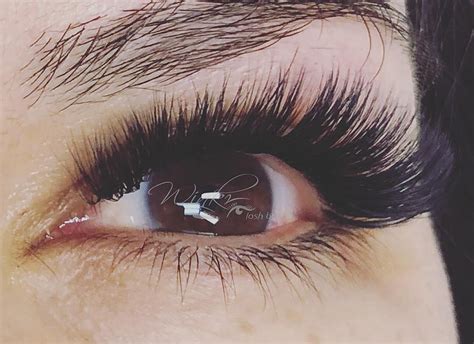 Lashes Make Everything Better - Eyelash Extensions (#825177) - HD ...