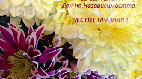Честит празник, България! - Nova.bg