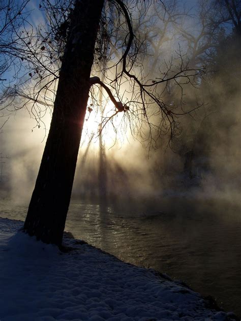 In a Dream Free Stock Photo | FreeImages