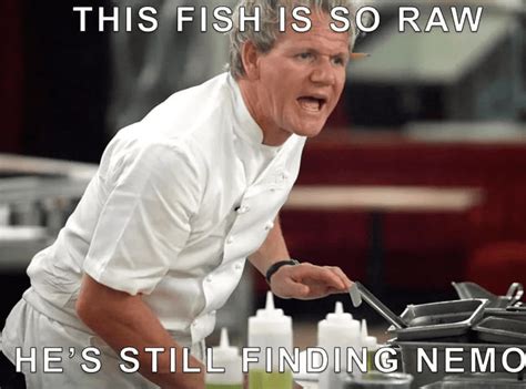 gordon ramsay memes  perfectly capture  fiery personality