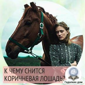 Сонник: коричневая лошадь