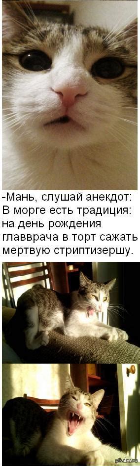 Любитель черного юмора | Пикабу
