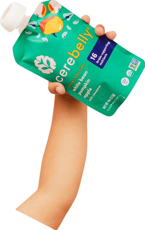 Cerebelly