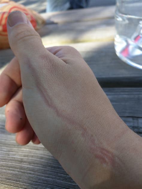 Is it normal for gloves to do this? : r/motorcycles