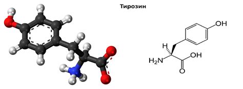 Энциклопедия аминокислот