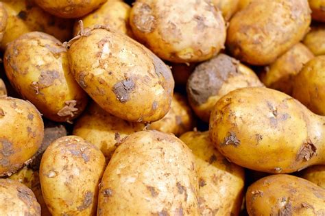 Эксперт Строгая рассказала о росте цен на картофель из-за плохого урожая