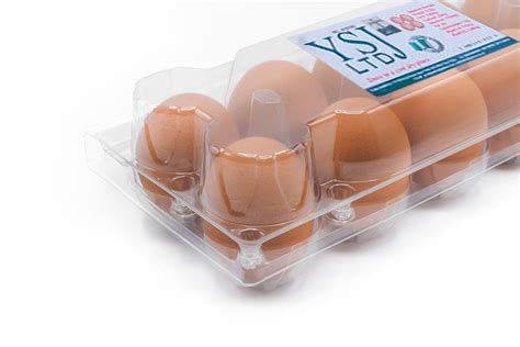pieces chicken eggs ysj limited
