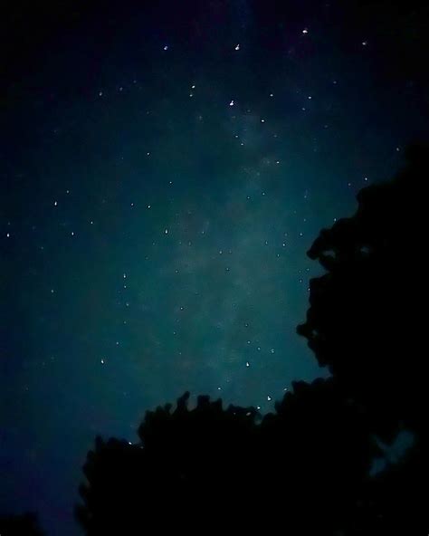Curvy Krista | Star light, star bright, I see lots of stars tonight